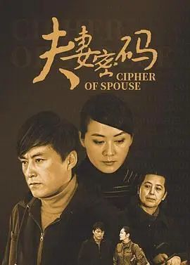 夫妻密码 海报