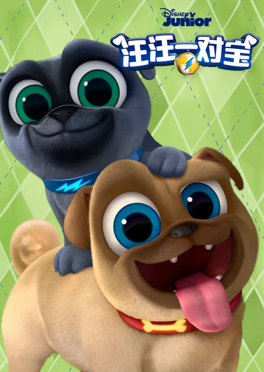 《汪汪一对宝 第五季》：萌犬搭档再破奇案，欢乐与冒险永不停歇！
